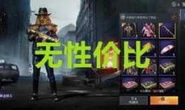 军需新皮肤最新爆料,揭秘神秘战甲背后的故事