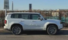 国产普拉多最新爆料,性能与颜值双提升，揭秘最新爆料！