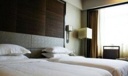 金苑大酒店最新爆料,揭秘奢华背后的秘密与争议