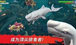 饥饿鲨进化最新鲨鱼爆料,全新鲨鱼物种震撼登场！