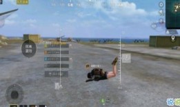 和平精英僚机最新爆料,神秘功能即将上线，游戏体验再升级！