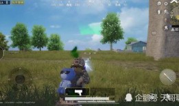 吃鸡新枪皮肤最新爆料,炫酷设计引玩家热议