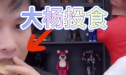 小杨哥和小黄最新爆料,揭秘娱乐圈惊人内幕