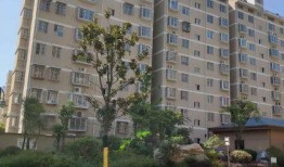 碧清苑桂园爆料最新消息,揭秘神秘事件真相！