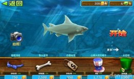 饥饿鲨进化最新鲨鱼爆料,全新鲨鱼物种震撼登场！