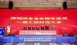 宝龙爆料最新消息新闻,揭秘重大新闻背后的真相与影响