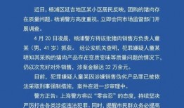 上海市公安局最新爆料,上海市公安局最新曝光的犯罪案件及防范措施