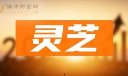 仙鱼最新爆料新闻报道,最新热点事件深度解析