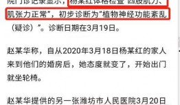 杨晓红家暴最新爆料信息,最新爆料揭露惊人内幕