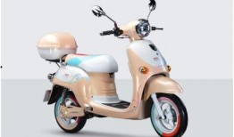 炒电动车最新爆料,炒车热潮背后的最新爆料揭秘