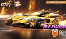 飞车2025最新皮肤爆料,炫彩新皮肤，速度与激情的视觉盛宴