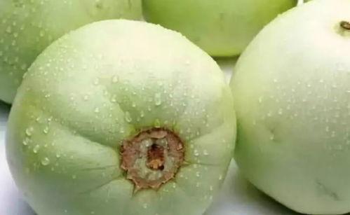 利辛吃瓜最新事件爆料是真的吗,真相揭秘还是网络谣言？