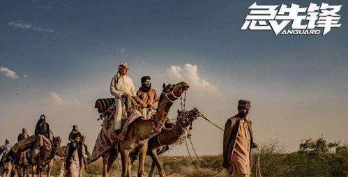 急先锋最新爆料,揭秘幕后真相与精彩剧情